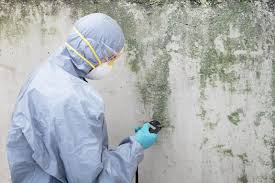 Best Mold Odor Removal Services  in South Coatesville, PA